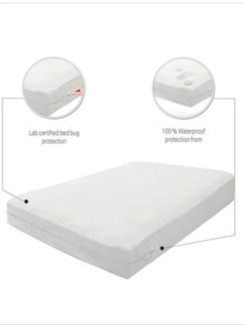 Payton Mattress or Box Spring Protector Covers, Queen - White